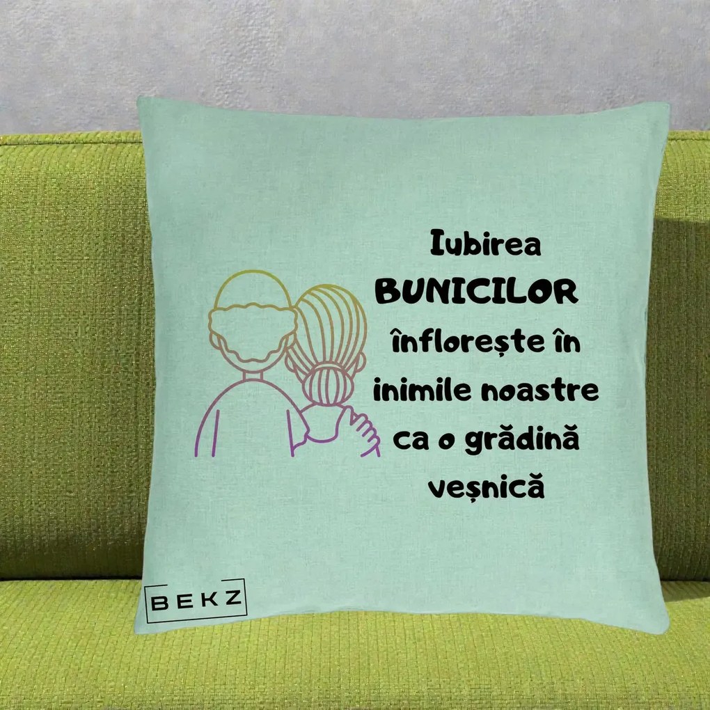 Cadou pentru Bunici - Perna Personalizata Iubirea Bunicilor Infloreste Cuplu Line Art Gradient, 40x40 cm, Verde Menta, Husa Detasabila, Perna Inclusa, BEKZ®