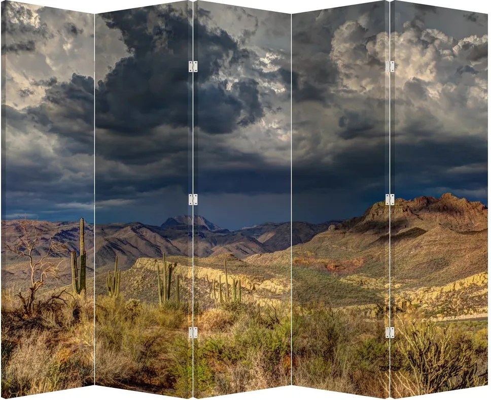 Paravan - Cactușii în natură (210x170 cm)