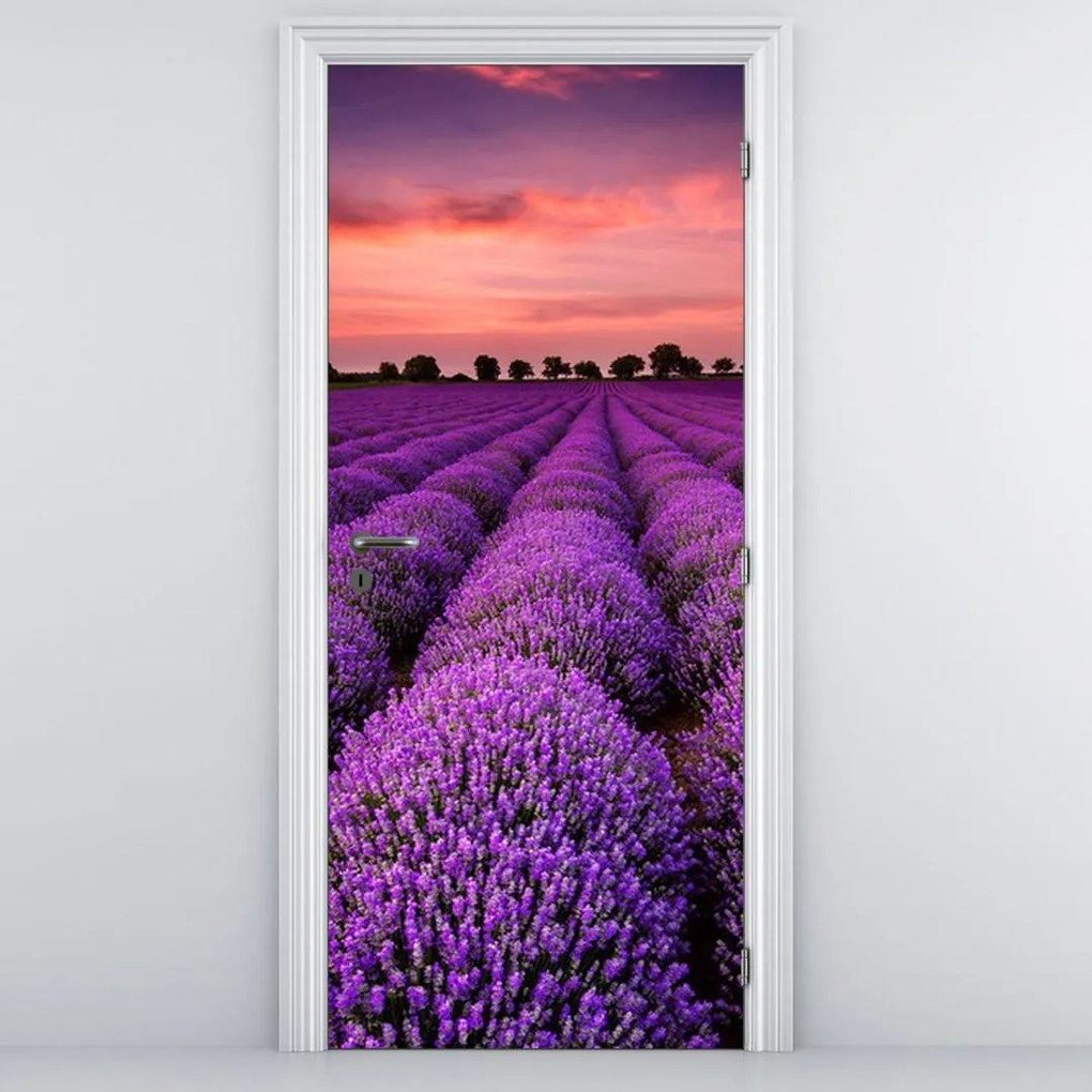 Fototapeta pentru ușă - peisaj cu lavanda (95x205cm)