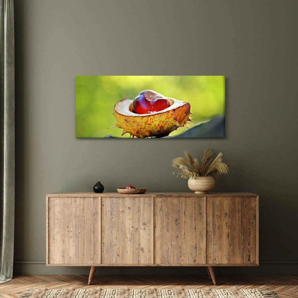 Tablou cu castani (120x50 cm)