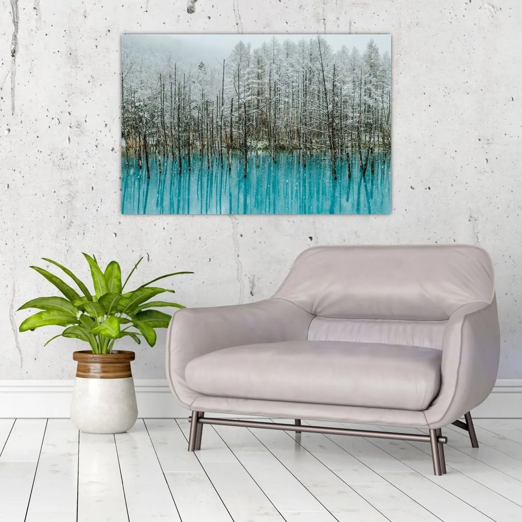 Tablou - Pescărie turcoaz, Biei, Japonia (90x60 cm)