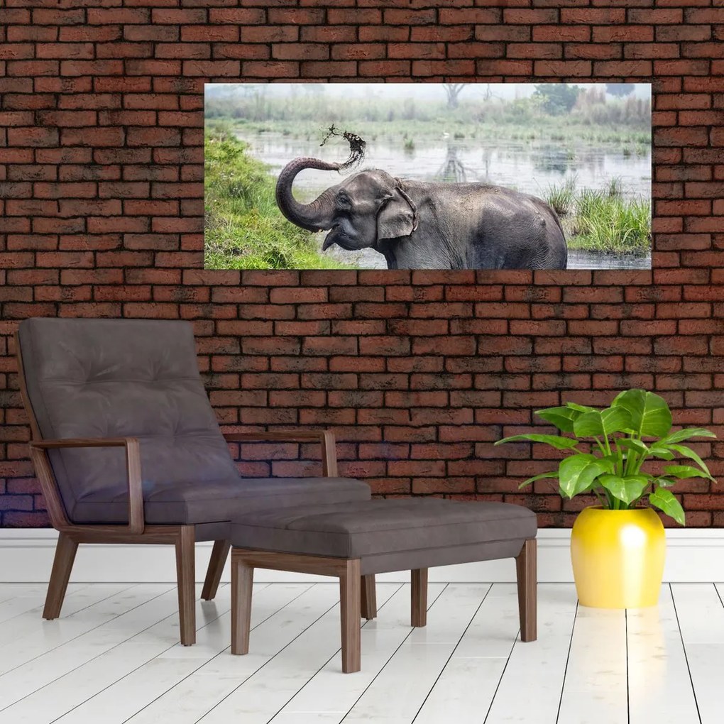 Tablou - Elefant de scăldat (120x50 cm)