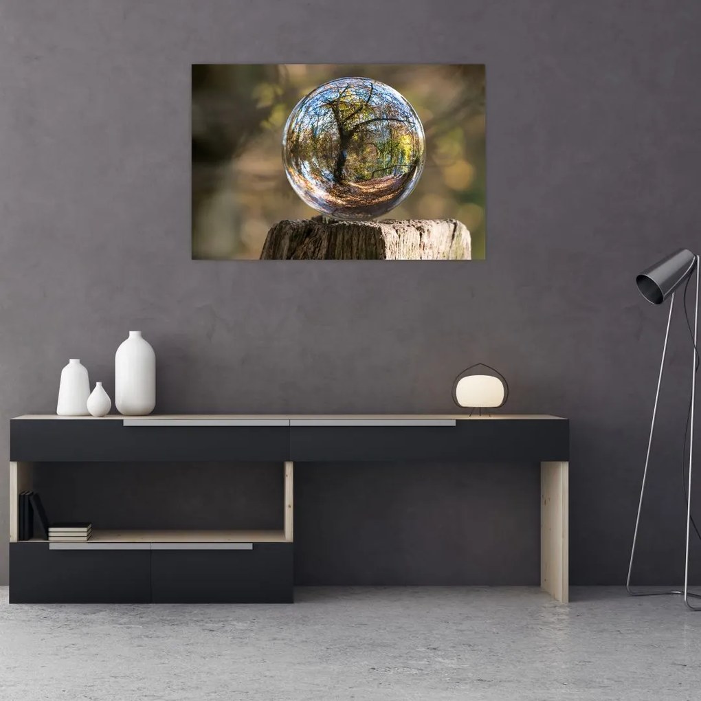 Tablou - Reflecție intr-o sferă transparentă (90x60 cm)