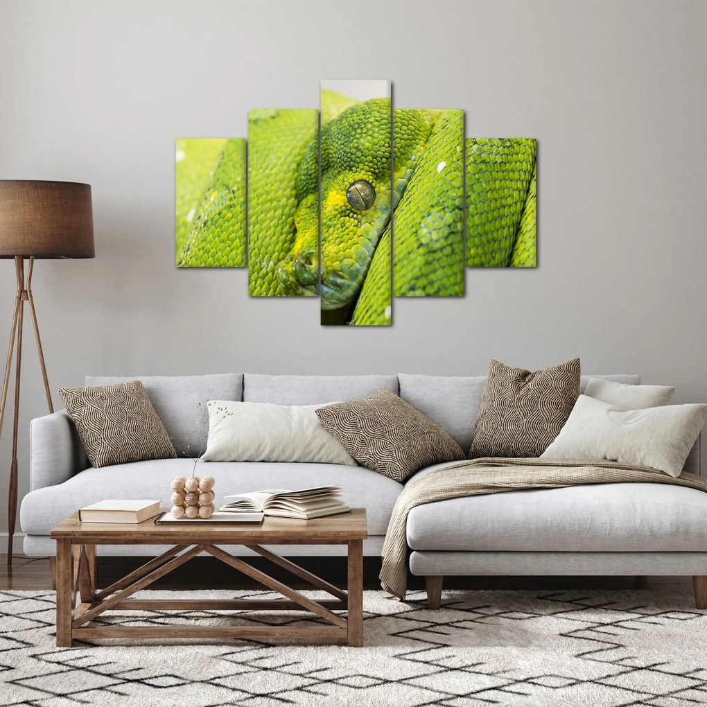 Tablou cu șarpe (150x105 cm)