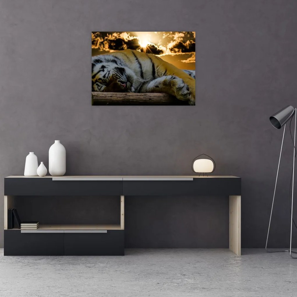 Tablou pe sticlă tigrul dormind (70x50 cm)