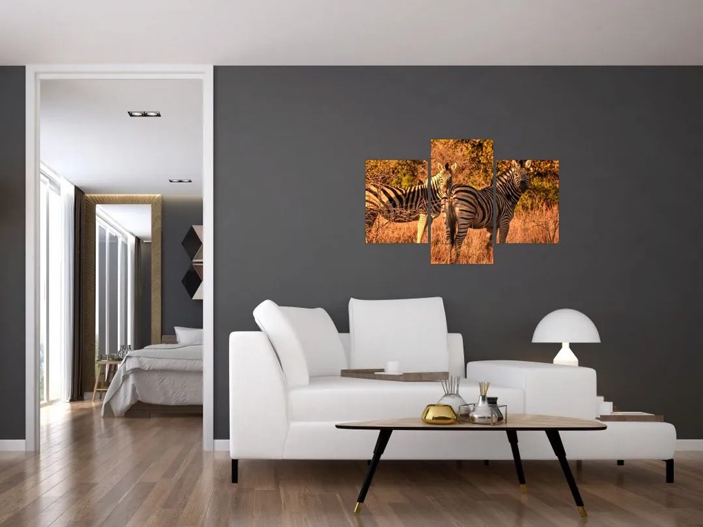 Tablou cu zebre (90x60 cm)