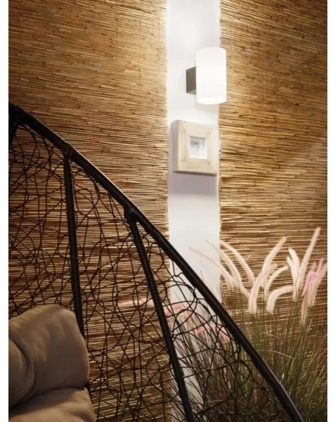 Aplică de exterior 1xE27/15W IP54 TUBE 230V Paulmann 94186