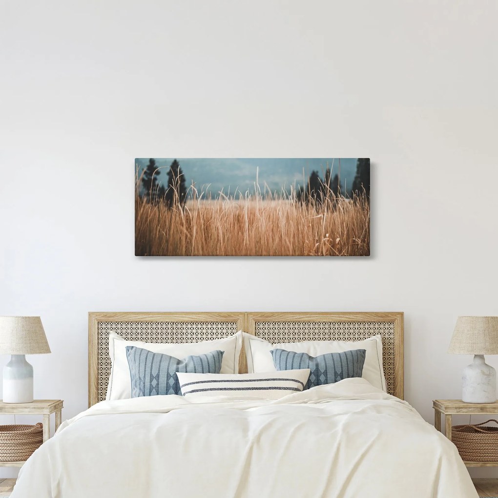 Tablou - detaliu spațiului de luncă (120x50 cm)