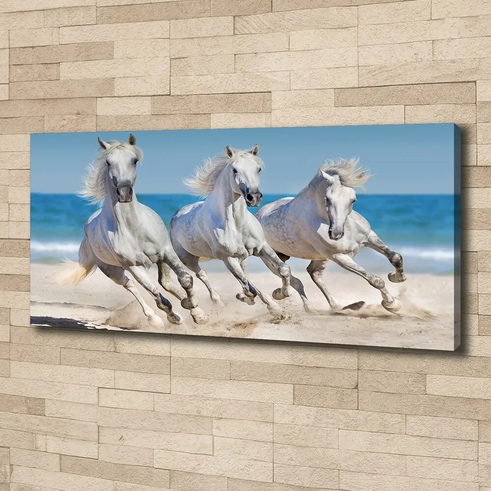 Tablou pe pânză White beach horse