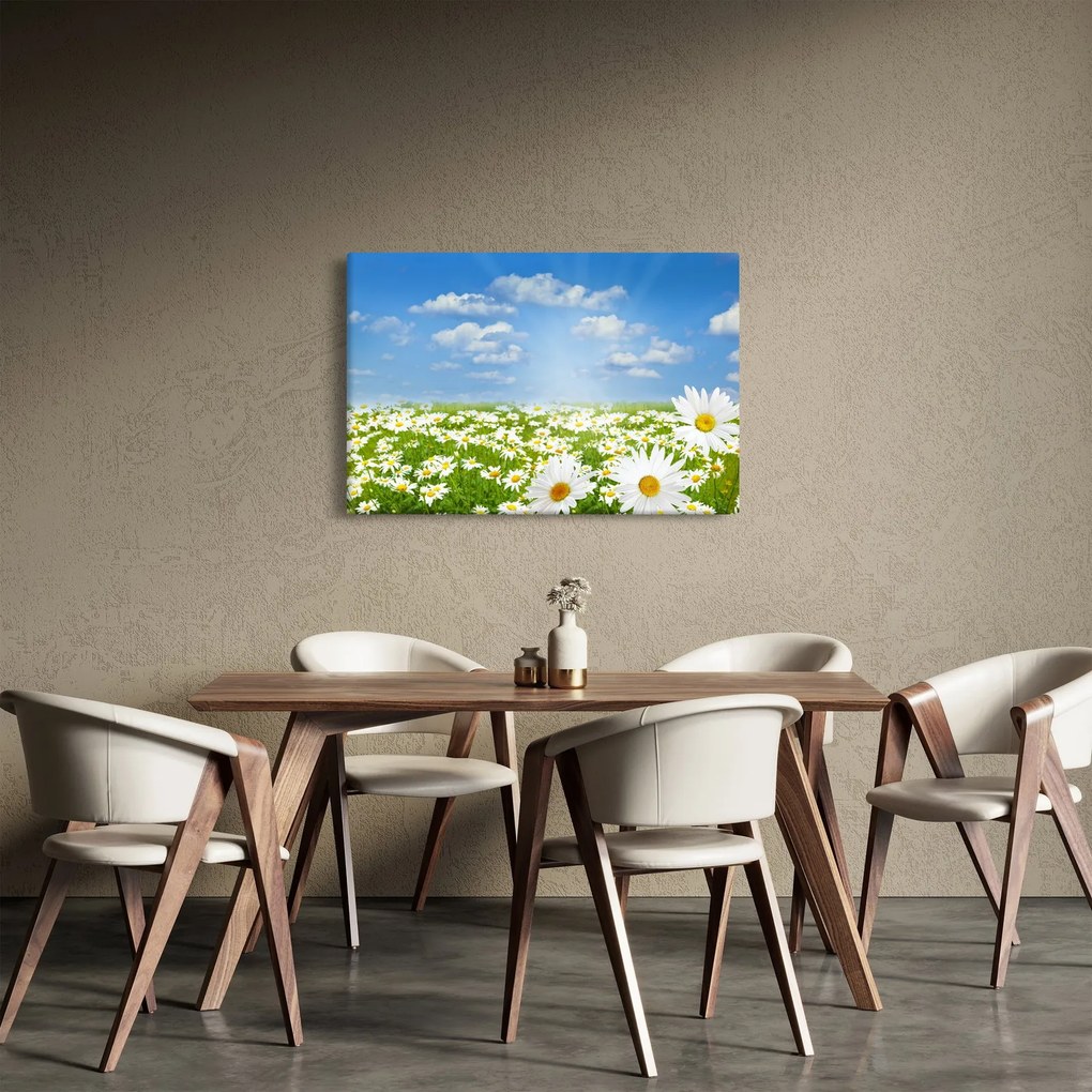 Tablou cu luncă înflorită cu margarete (90x60 cm)