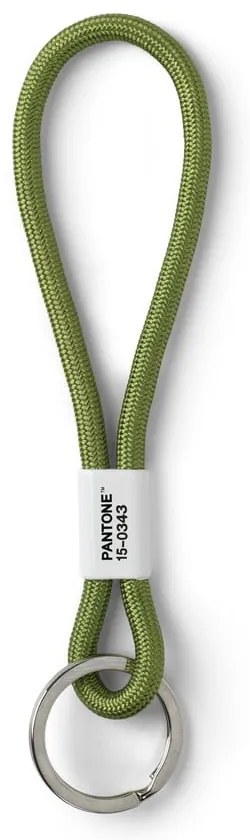 Breloc Green 15-0343 – Pantone