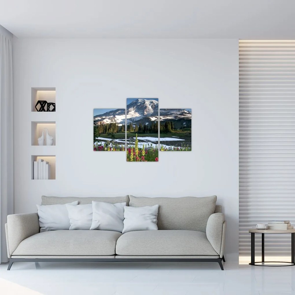 Tablou - Muntele Rainier (90x60 cm)