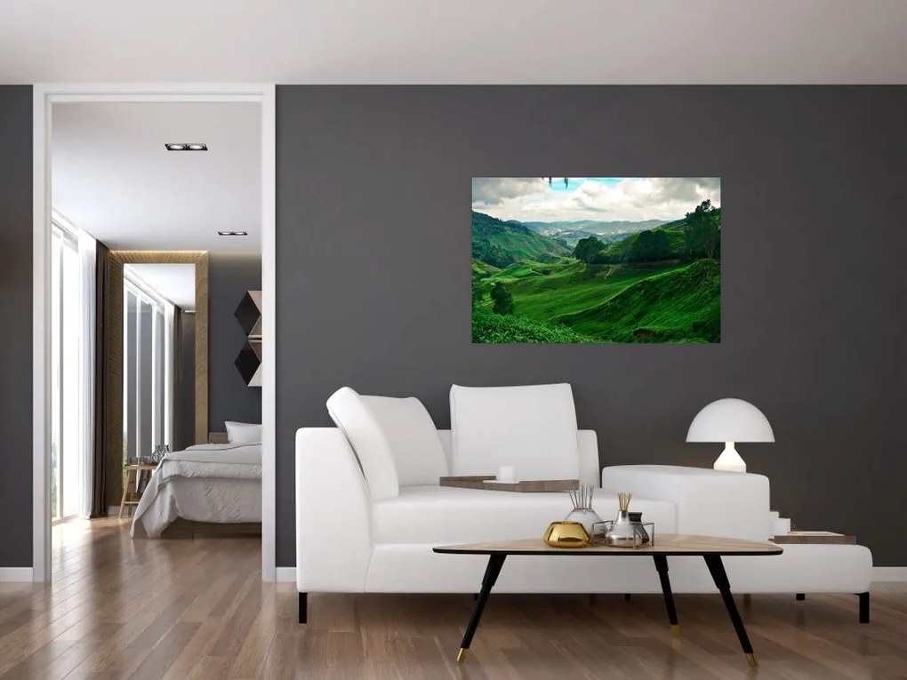 Tablou Plantații de ceai - Malaezia (90x60 cm)