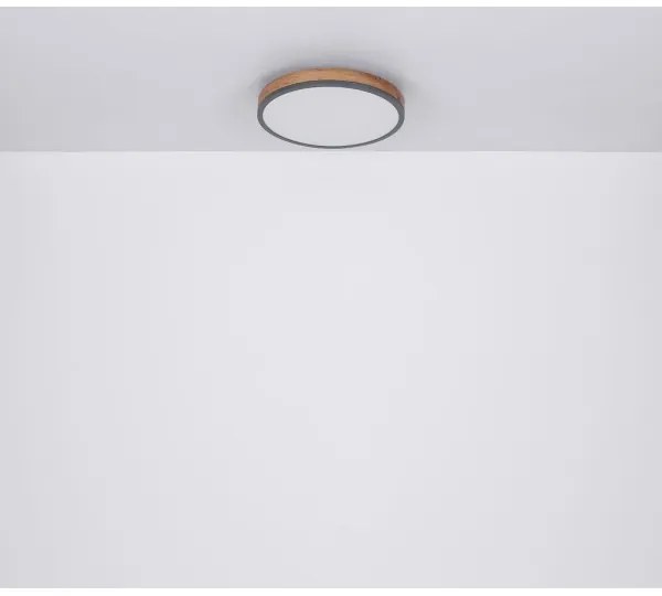 Plafonieră LED DORO LED/12W/230V d. 30 cm Globo 416080WD1R