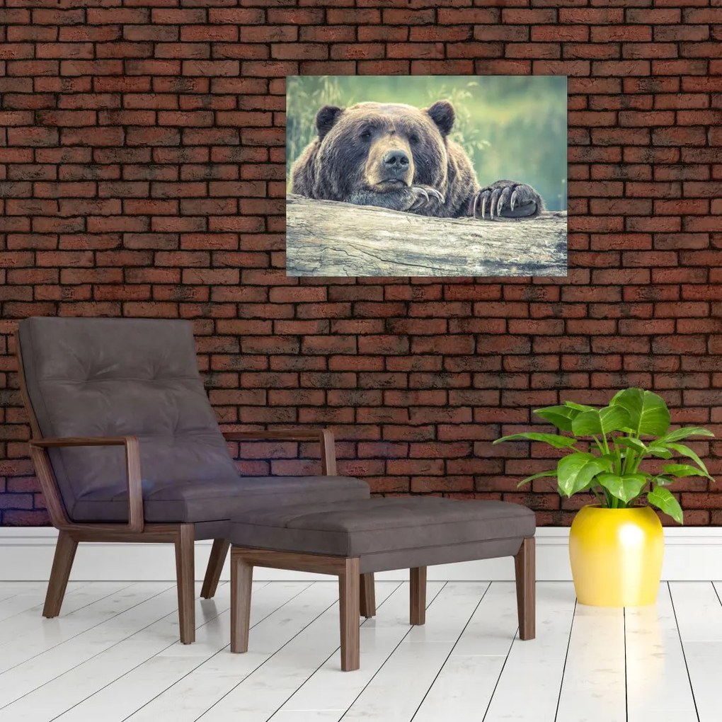 Tablou pe sticlă cu urs (70x50 cm)