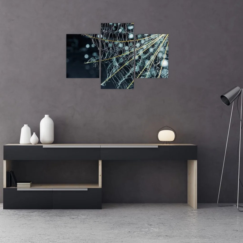 Tablou - Floare cu pânză de pâianjen (90x60 cm)