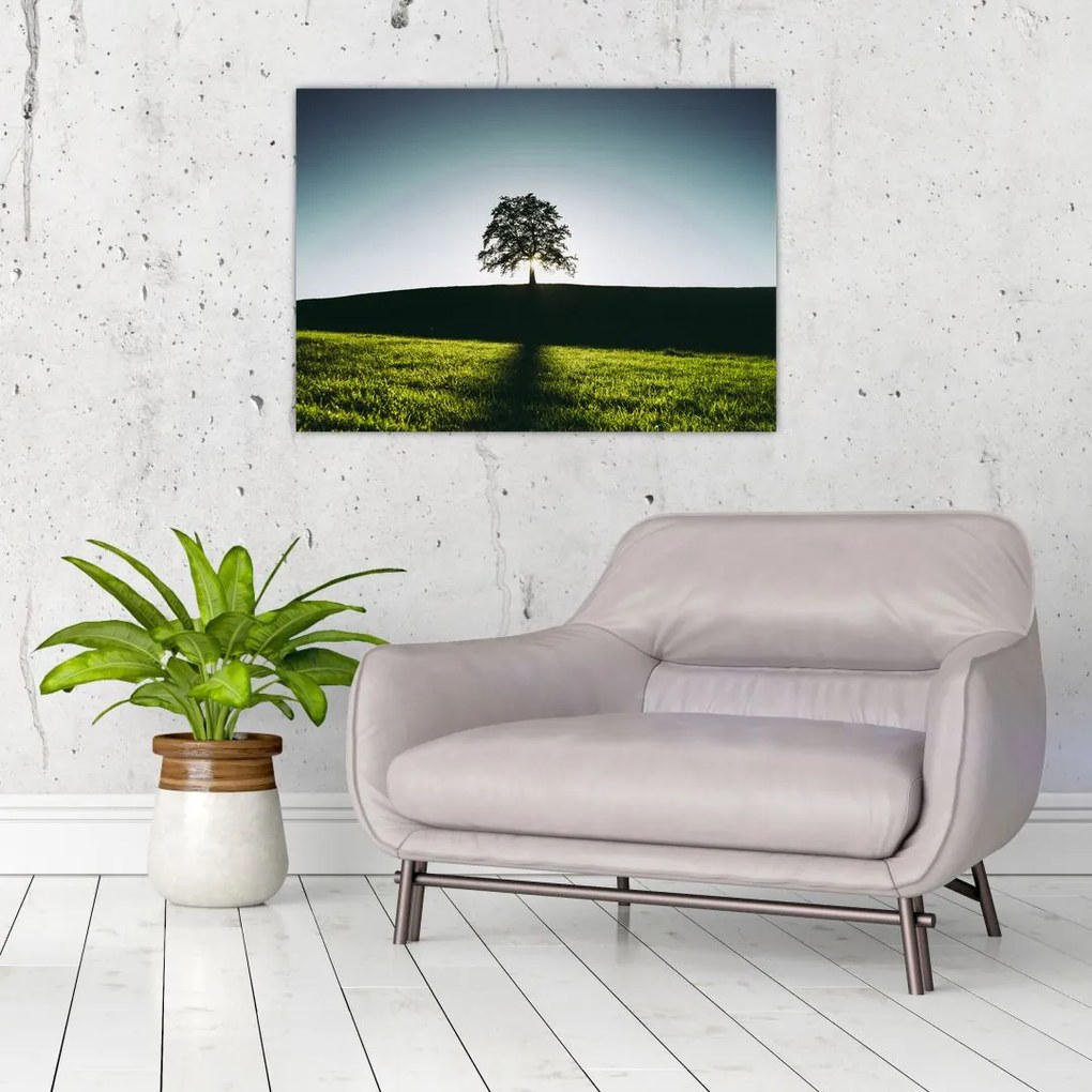 Tablou cu natura - copac (70x50 cm)