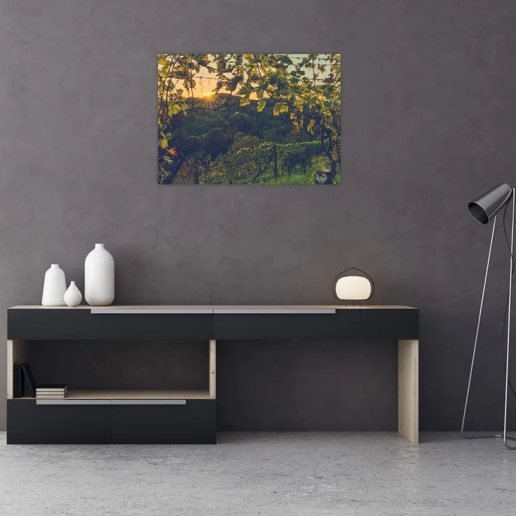 Tablou - Podgorii (70x50 cm)