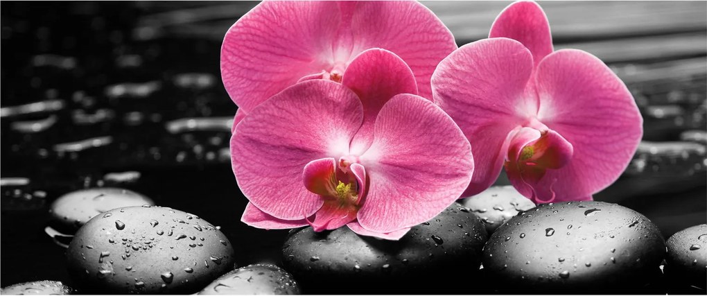 Tablou - Orhidee roz (120x50 cm)
