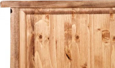 Dulap, L68 25 H98 cm, 2 usi, natur antic, lemn masiv