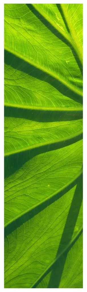 Fotojaluzele R014829R42150 (42x150 cm)