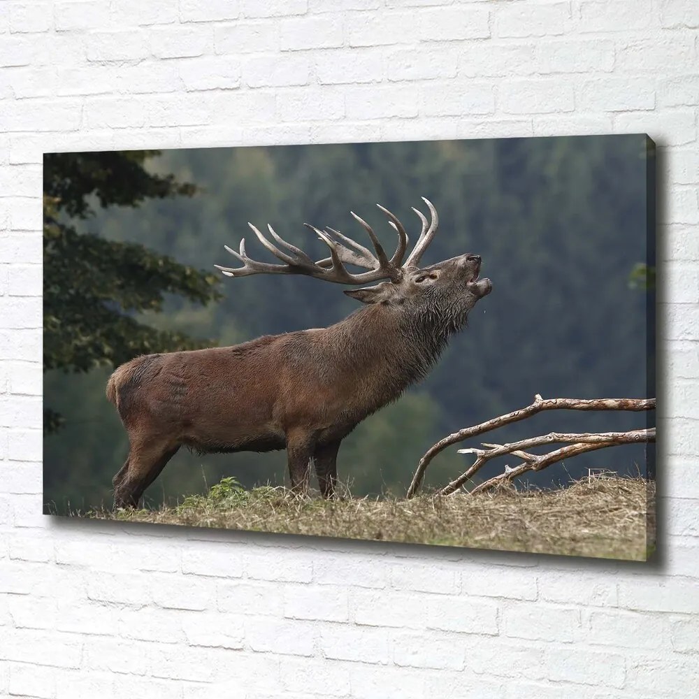Tablou pe pânză Deer pe deal