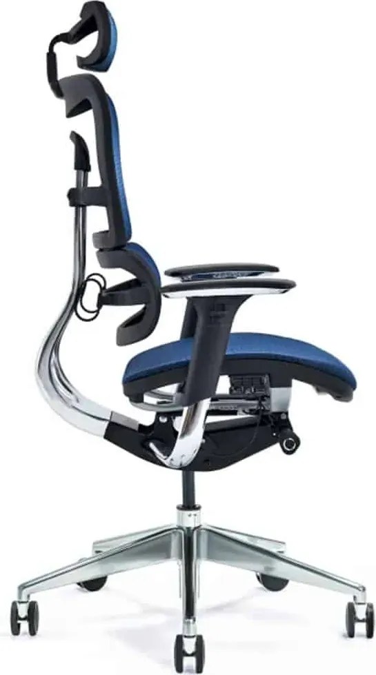 Scaun lemn masiv de birou ErgoComfort Plasă Respirabilă Albastru