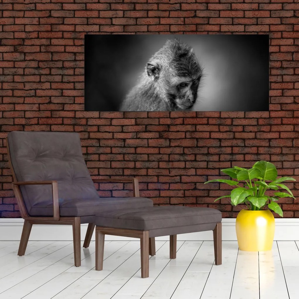Tablou - Maimuță (120x50 cm)