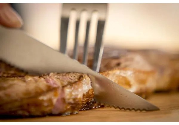 Tefal - Set de 4 cuțite pentru steak din oțel inoxidabil ICE FORCE, 11 cm, crom/negru