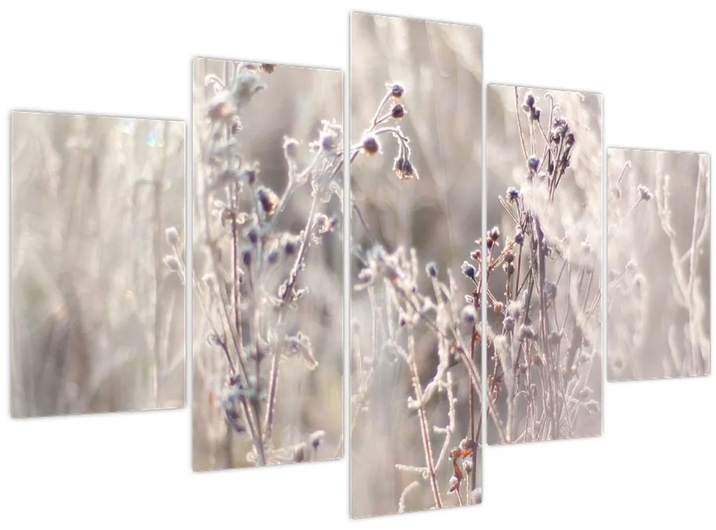 Tablou - Plante (150x105 cm)