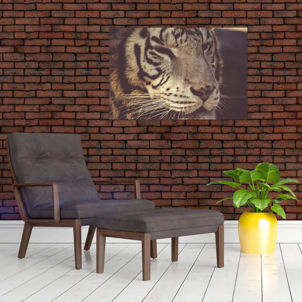 Tablou cu tigrul (90x60 cm)