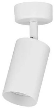 Spot aplicat directionabil minimalist REIG, NVL-9011532