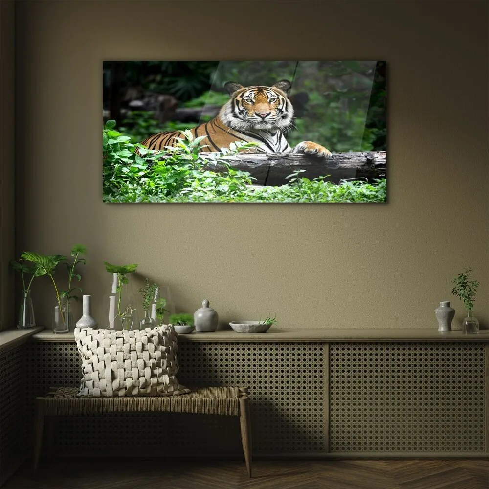 Tablou din sticla Forest Animal Cat Tiger