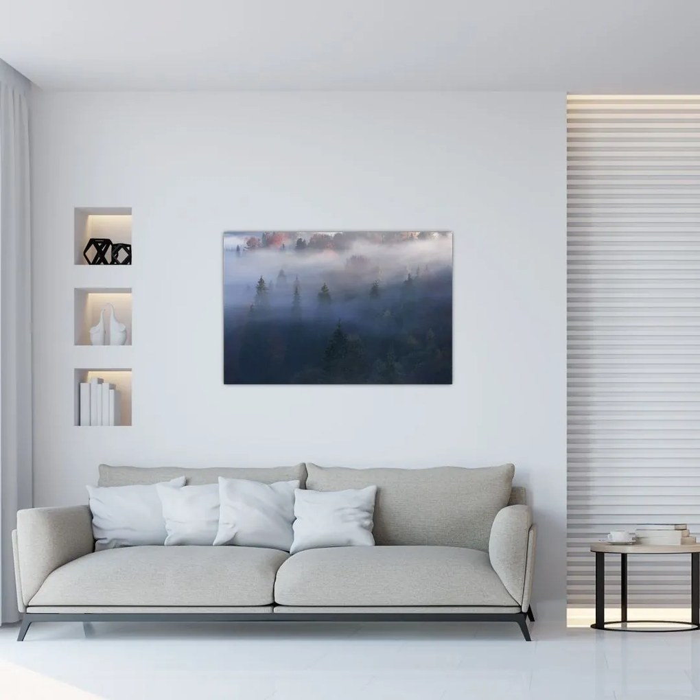 Tablou - Pădure în ceță, Carpați, Ucraina (90x60 cm)