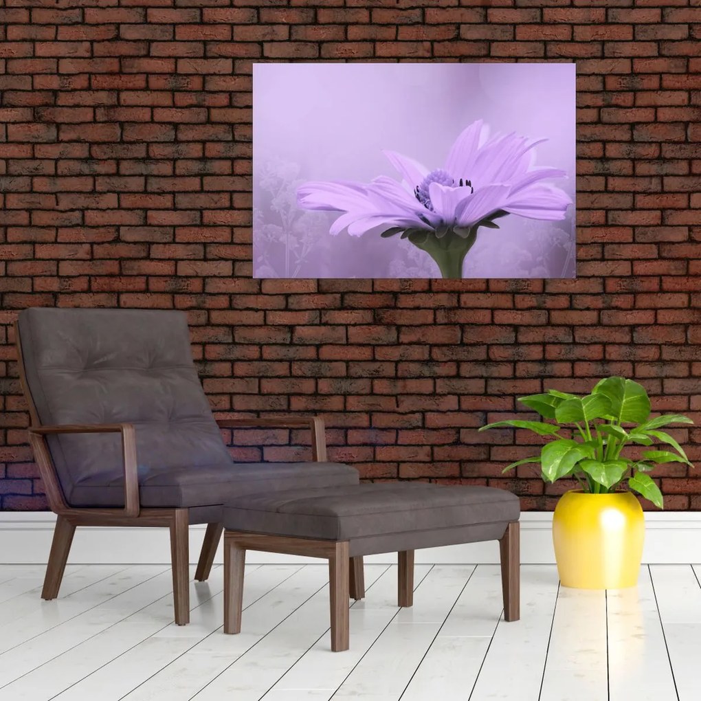 Tablou - Flori mov (90x60 cm)