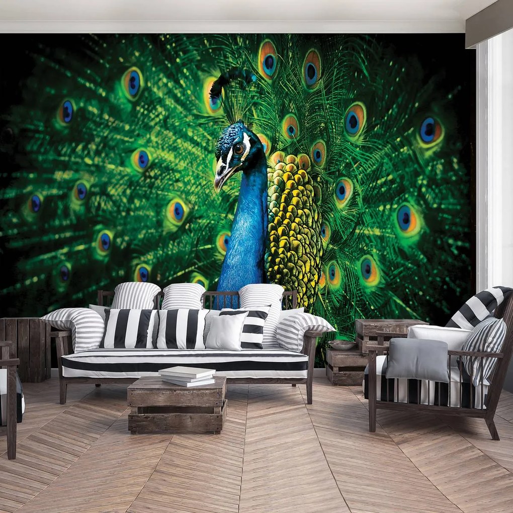 Fototapet - Păun (152,5x104 cm)