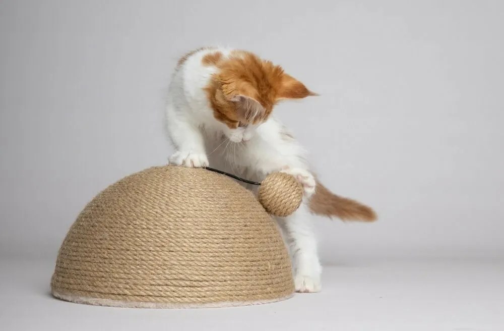 Flamingo Veda Scărpinător pentru pisici, 26 x 14 x 26 cm