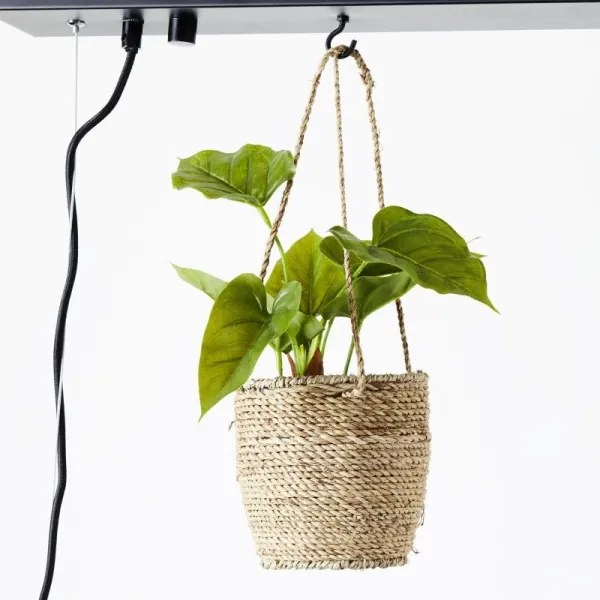 Brilliant - Lustră suspendată pe cablu BANKWOOD 5xE27/28W/230V plop