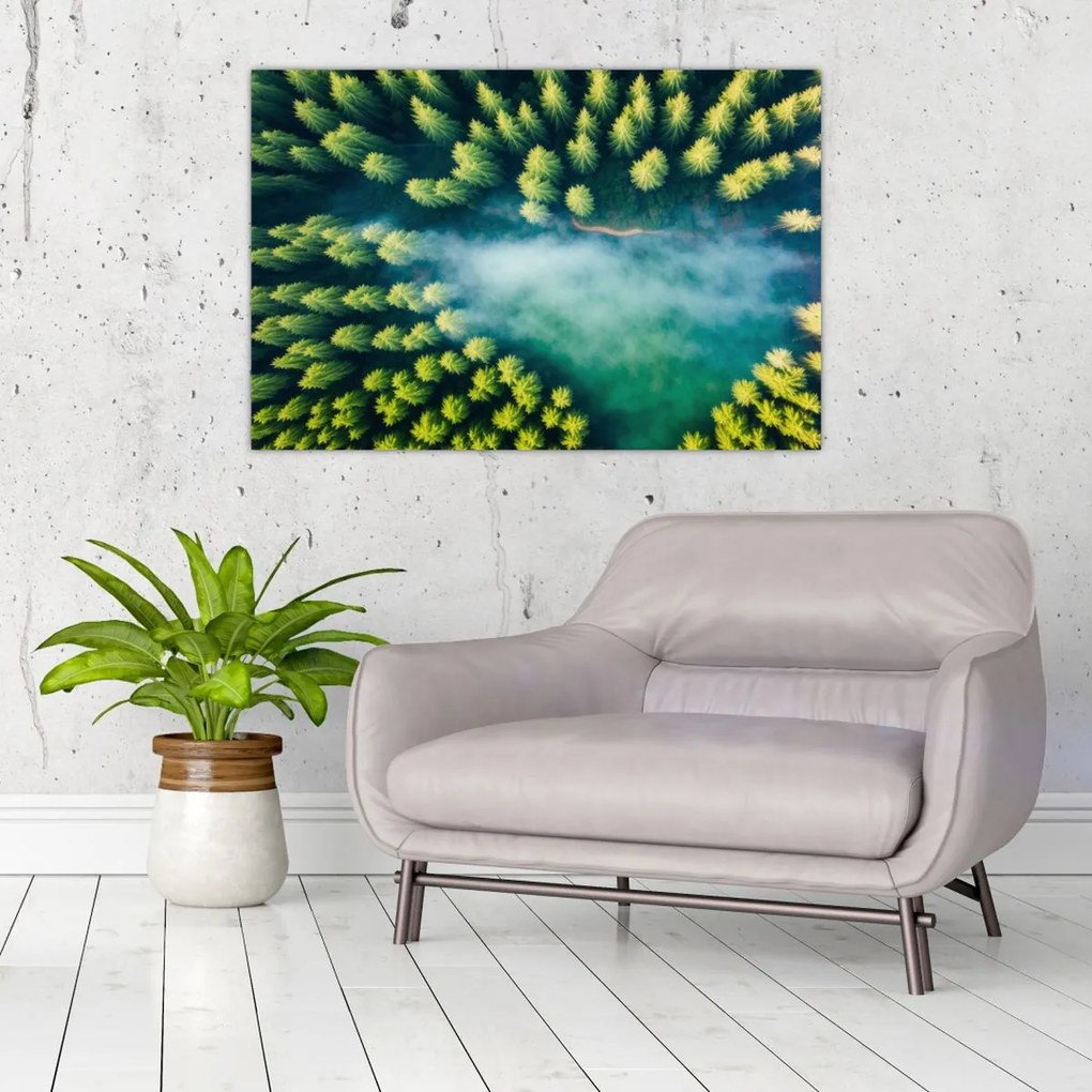 Tablou - O pădure învăluită în ceață (90x60 cm)