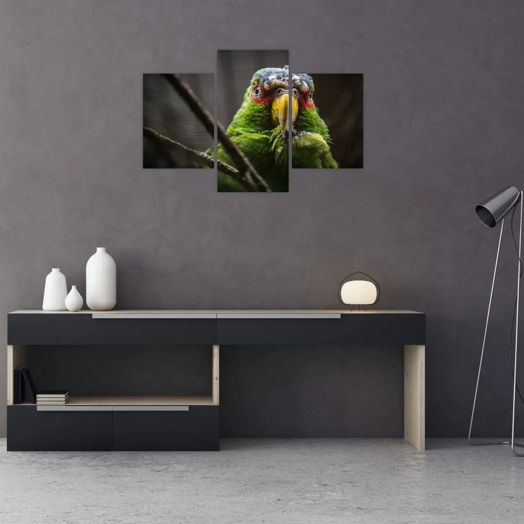 Tablou cu papagal (90x60 cm)