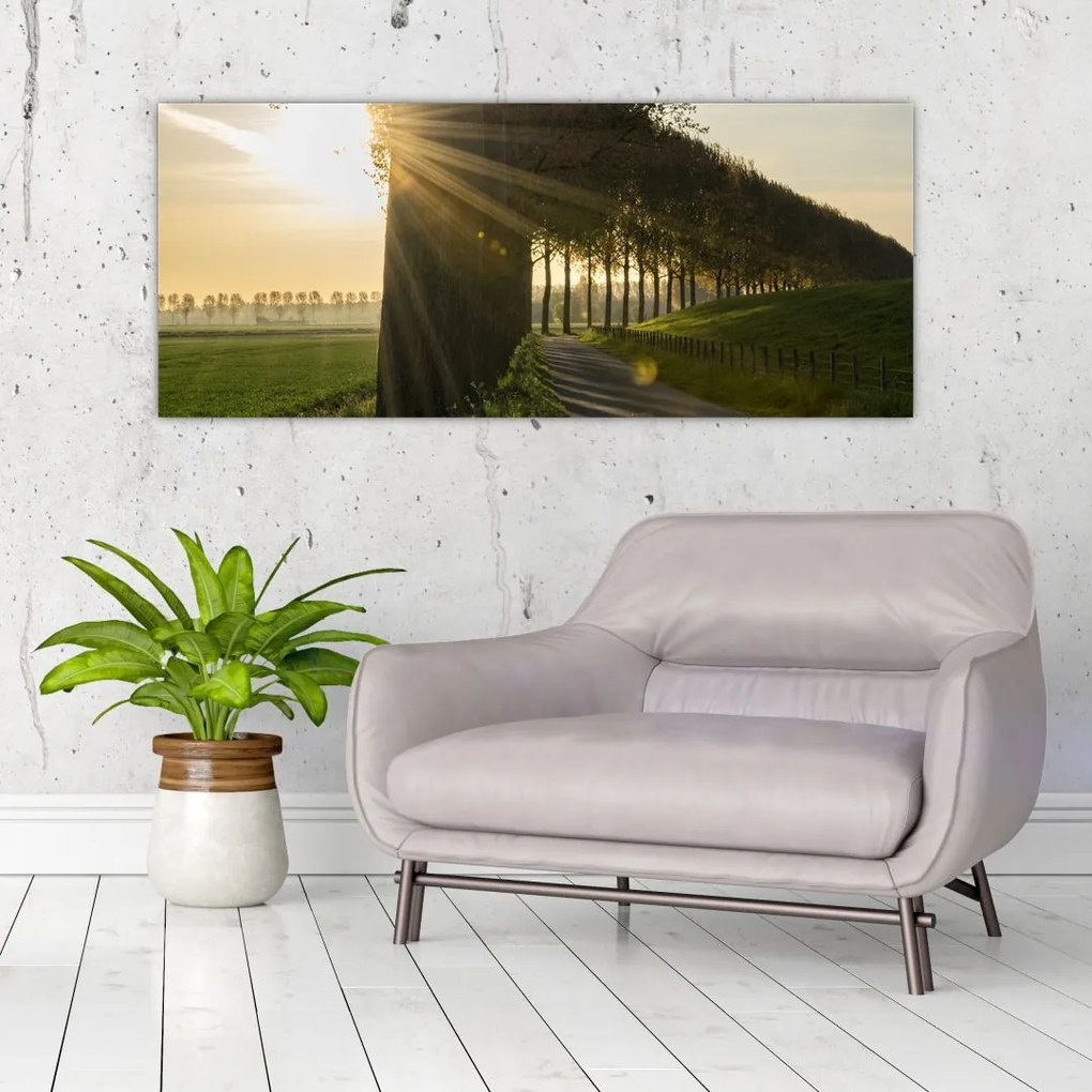 Tablou cu alee (120x50 cm)