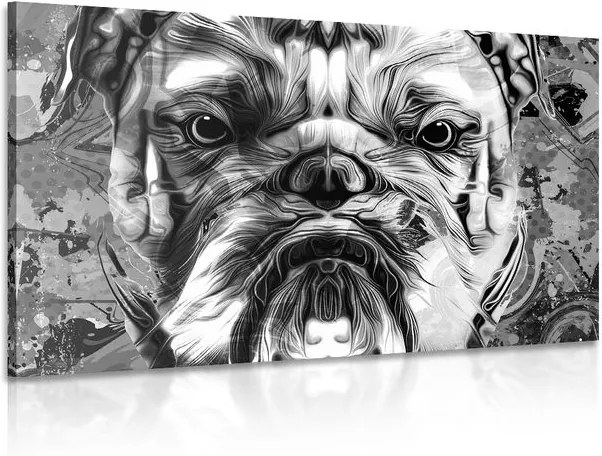 Tablou buldog în design alb-negru