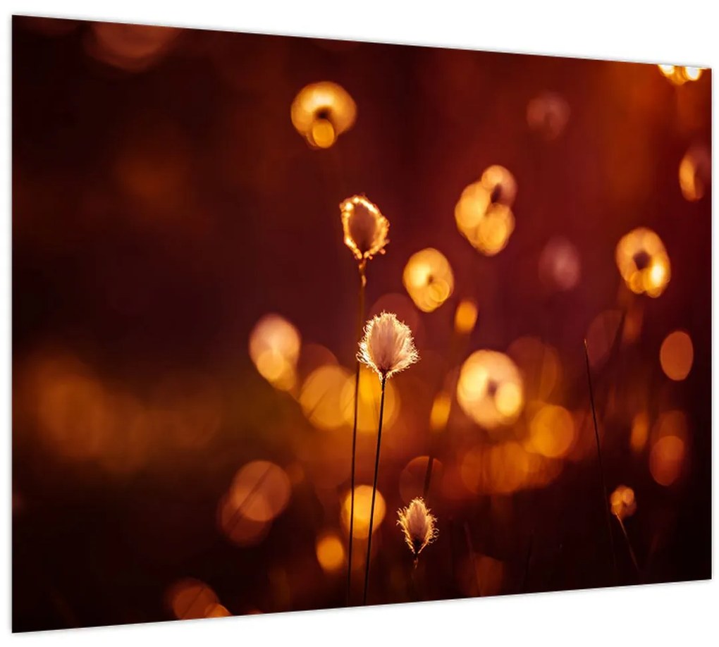 Tablou - Dimineața (70x50 cm)