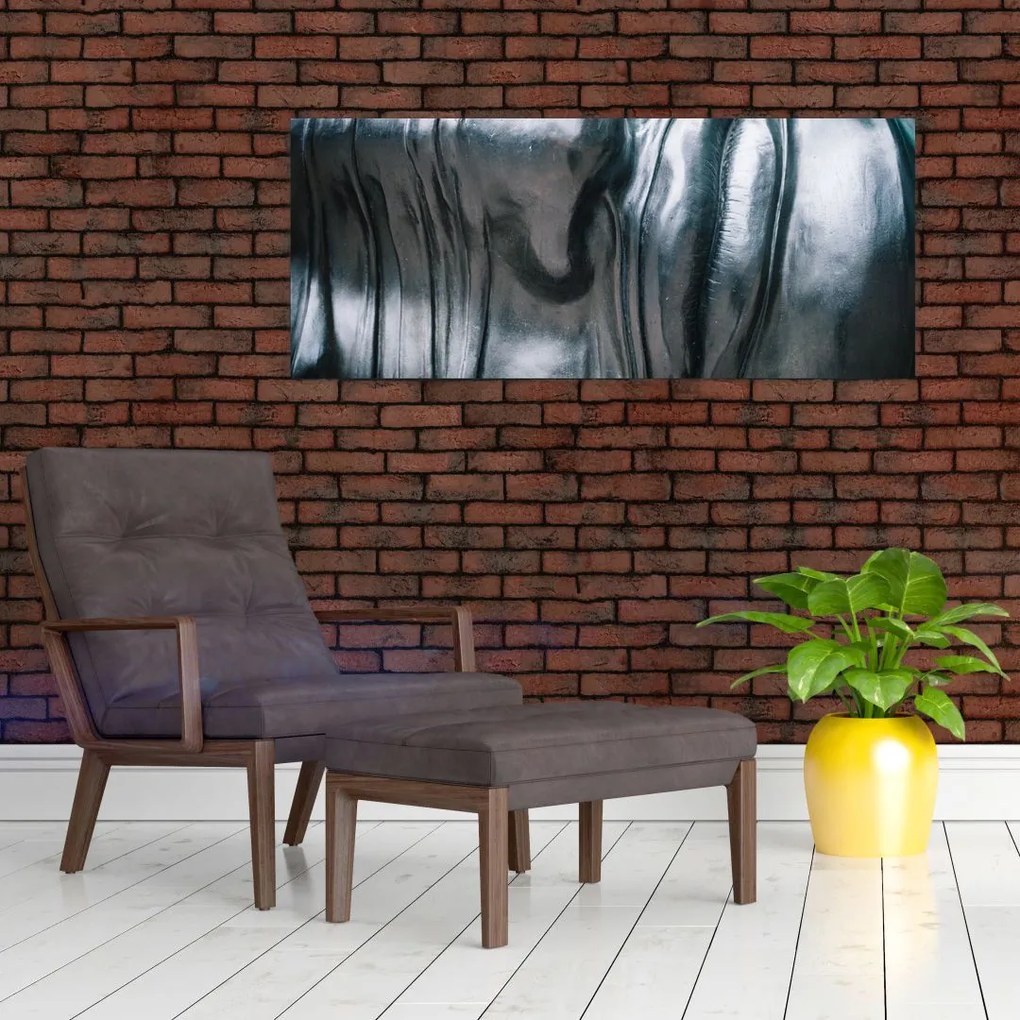 Tablou - Fața din oțel (120x50 cm)