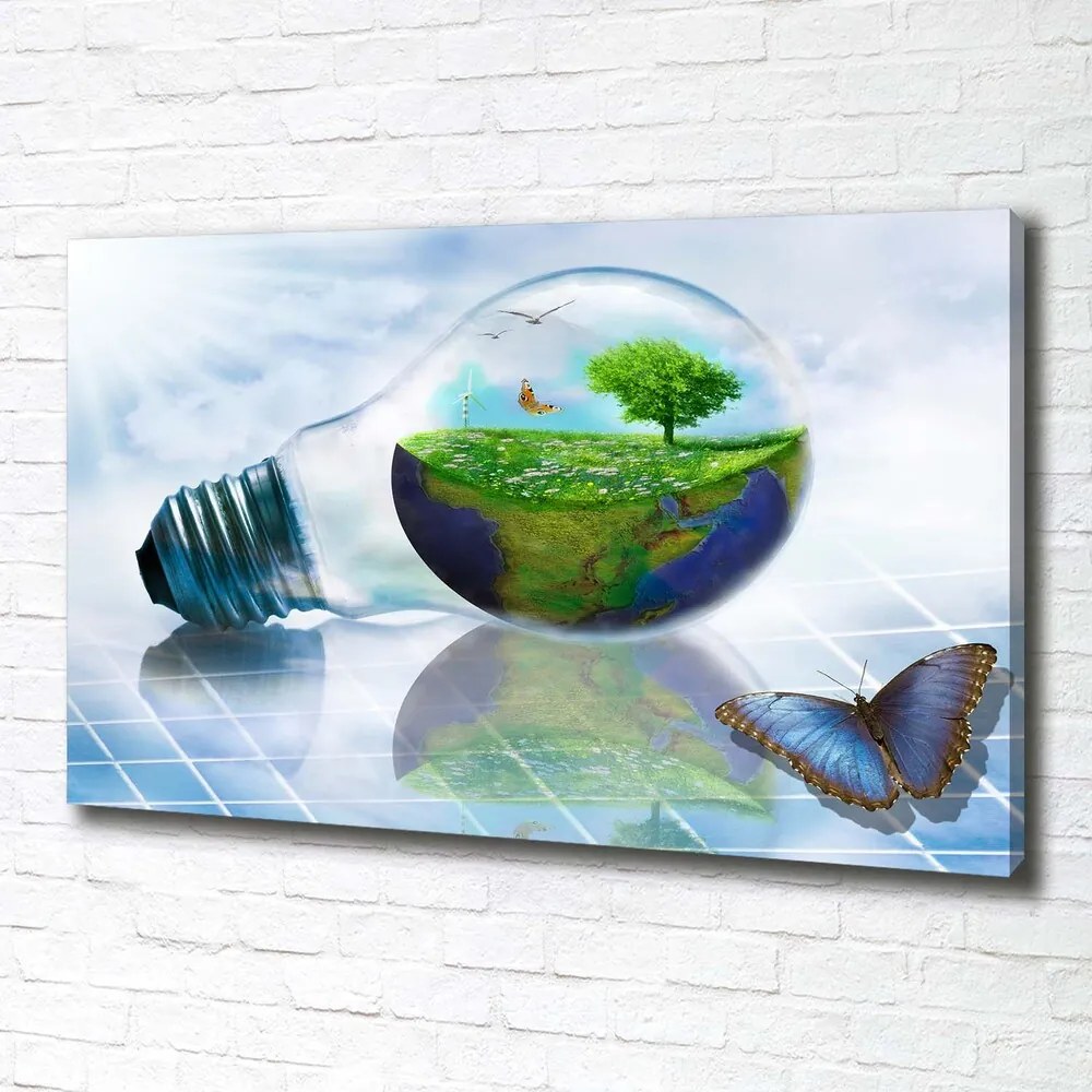 Pictură pe pânză Resurse ecologice