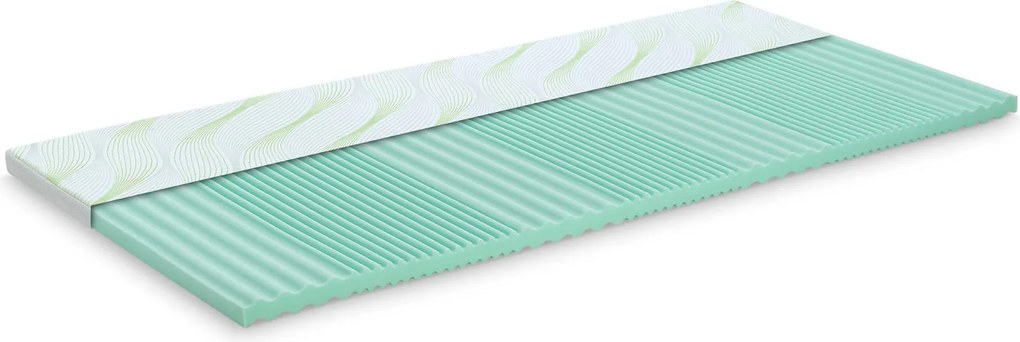 Topper 5 cm Aloe Vera Vitalis 2în1