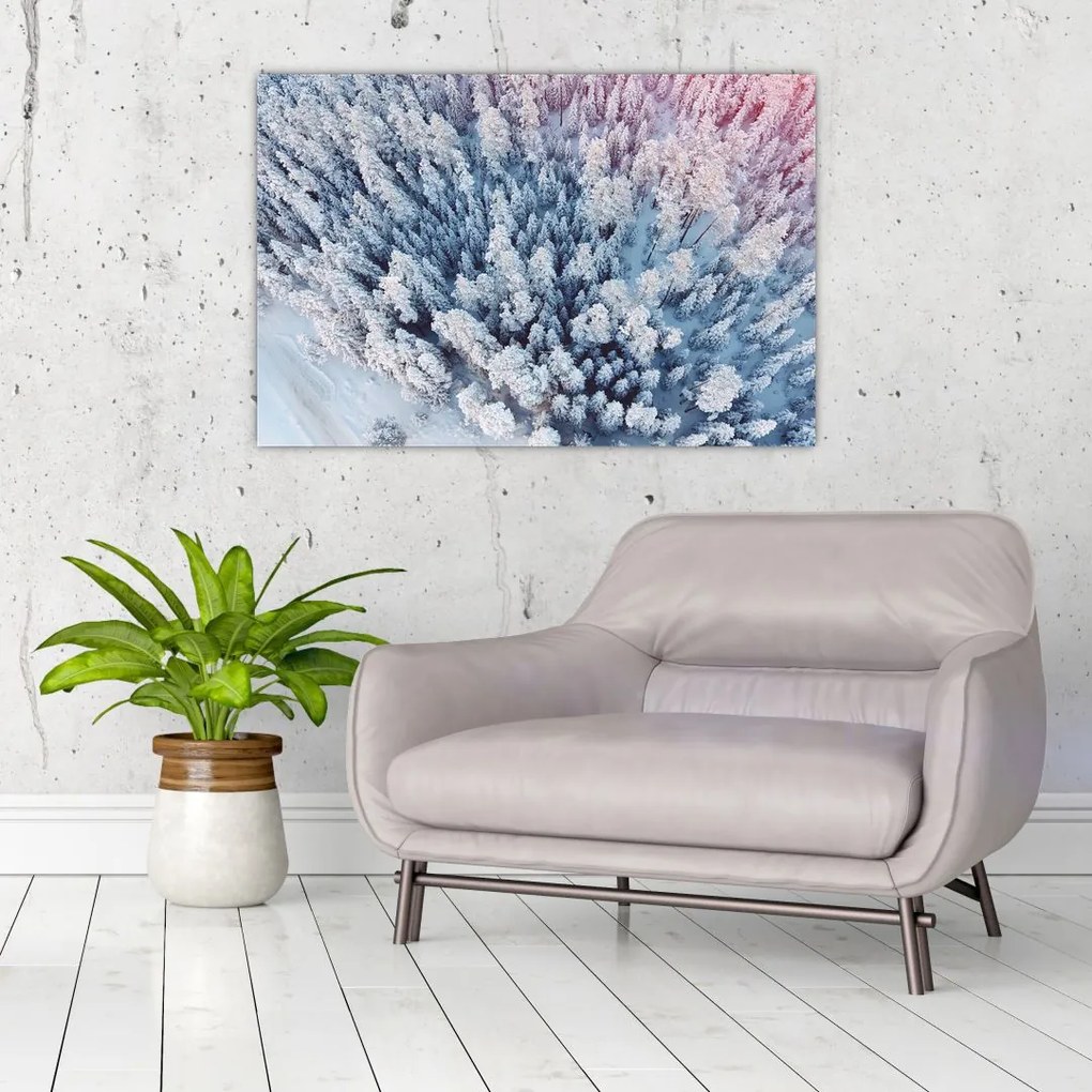 Tablou cu copaci înzăpeziți (90x60 cm)
