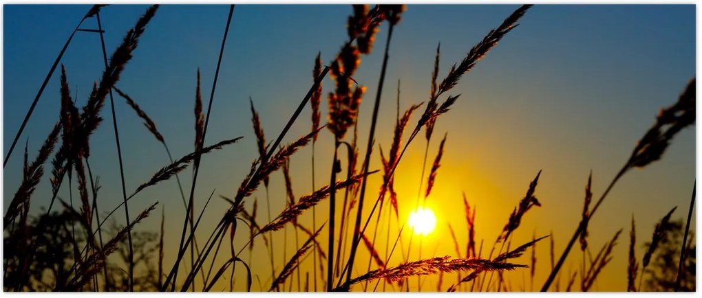 Tablou - Apus de soare pe pajiște (120x50 cm)