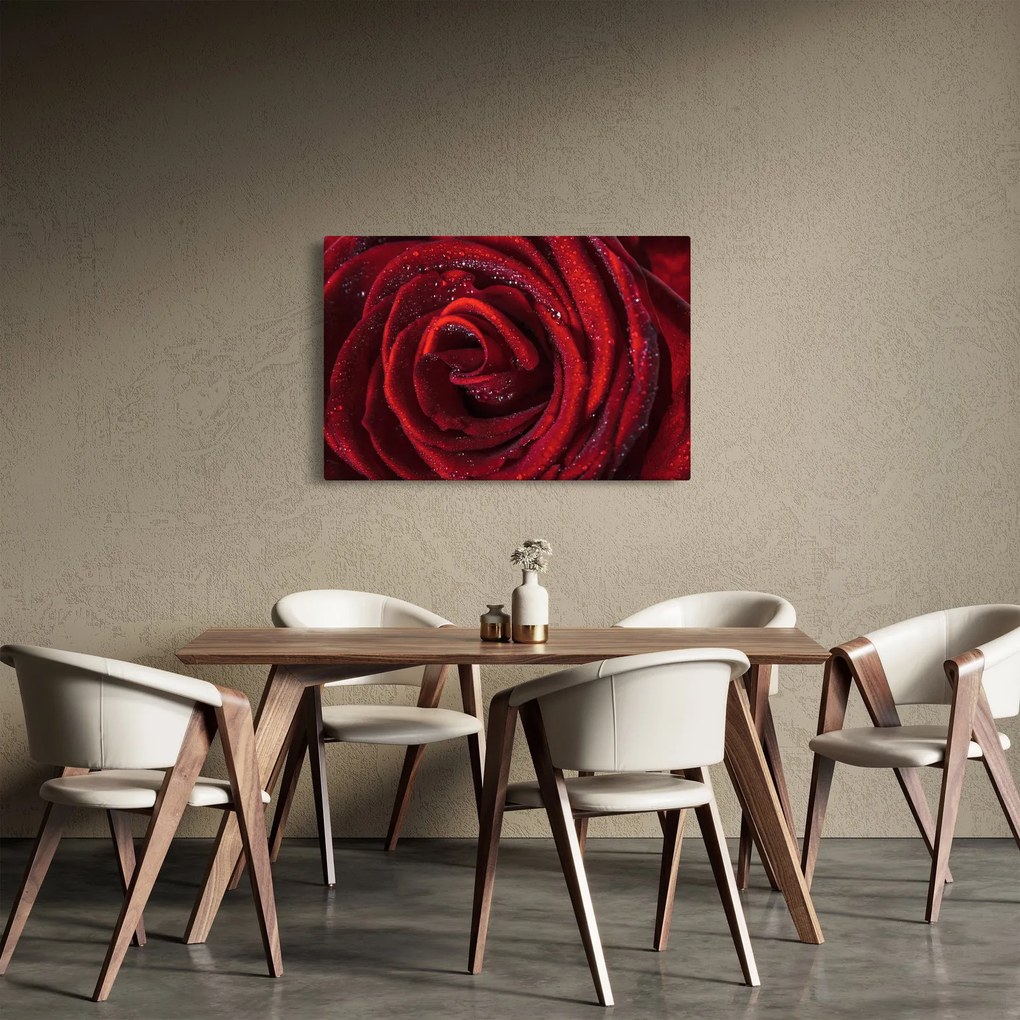 Tablou - Trandafir roșu cu picături de rouă (90x60 cm)