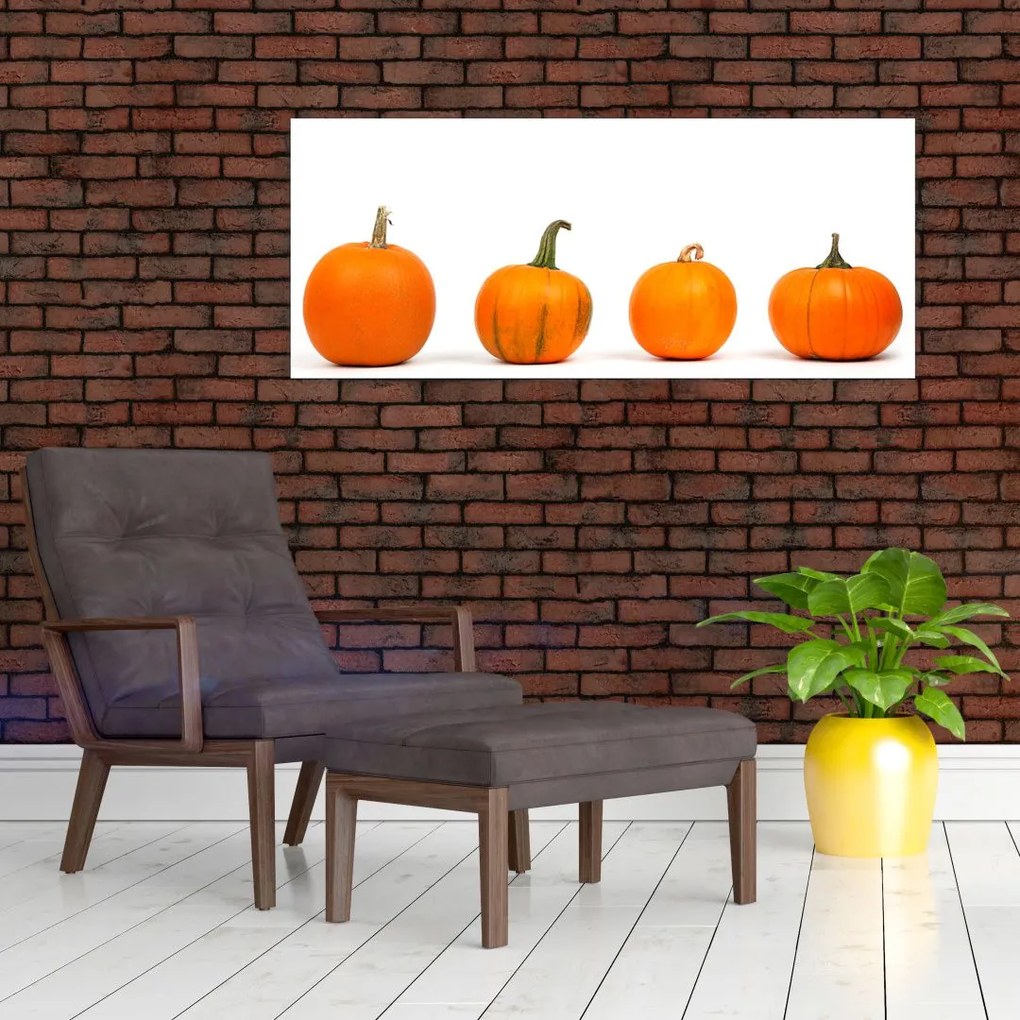 Tablou cu dovleac (120x50 cm)